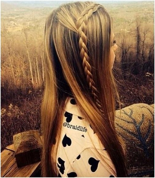 Slim long straight hairstyle with a braid