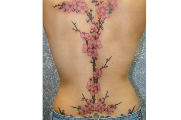Cherry Blossom Tattoo Back