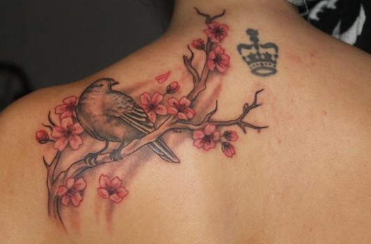 Cherry Tattoos Designs: Cherry blossom and bird tattoo