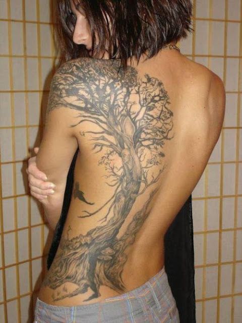 Old tree tattoo on the back