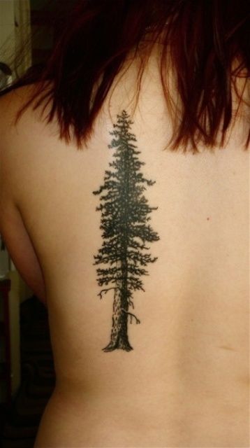 Pine tree tattoo on the back
