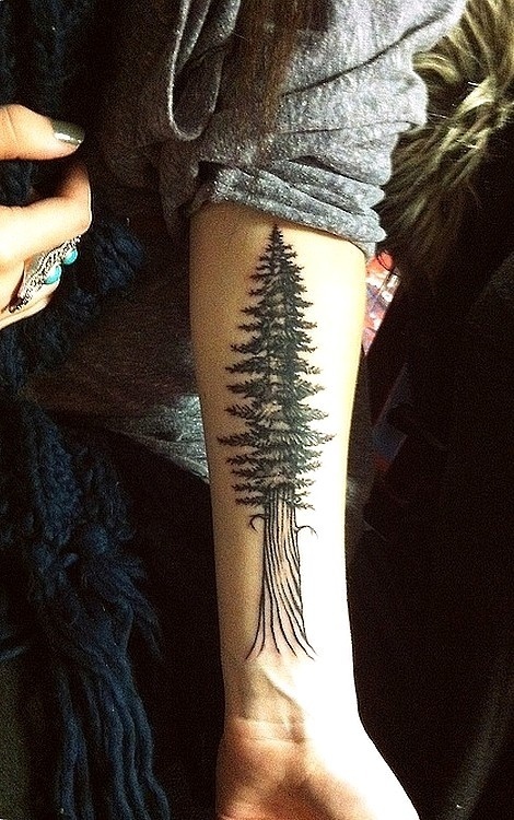 Redwood tree tattoo