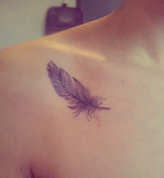 Feather tattoo on the shoulder