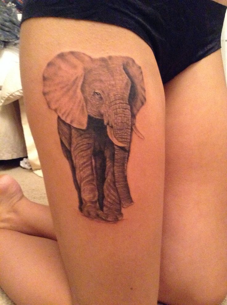 Elephant on the thigh