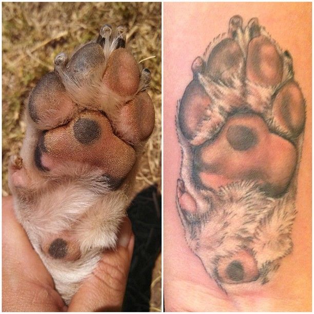 Nice paw tattoo of your dog