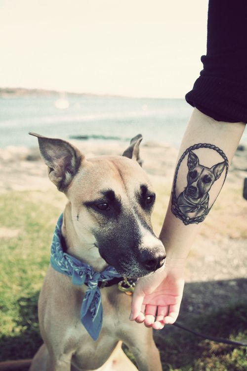 Dog tattoo