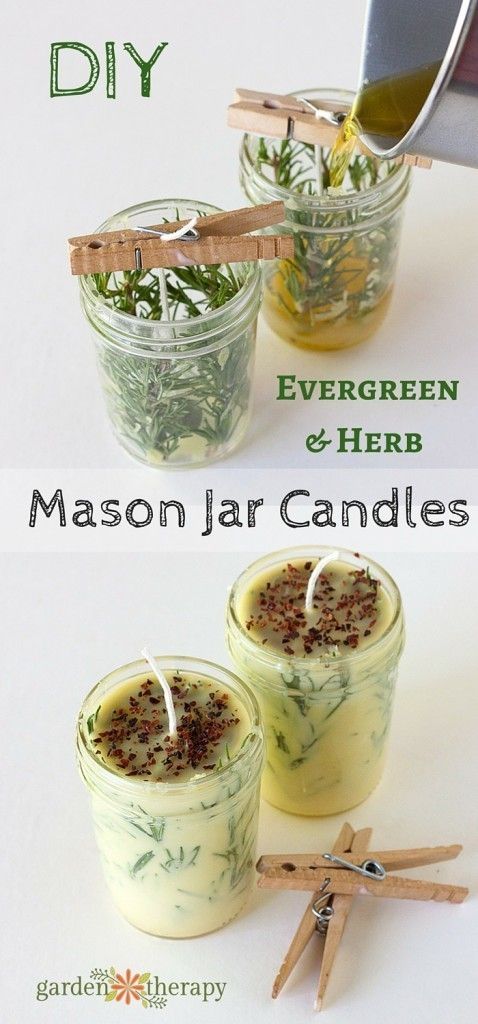 Mason jar evergreen herbal candles via