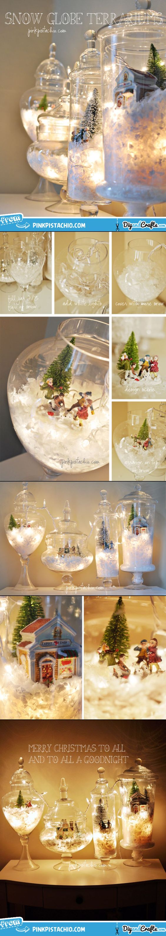 Snowglobe terrariums over