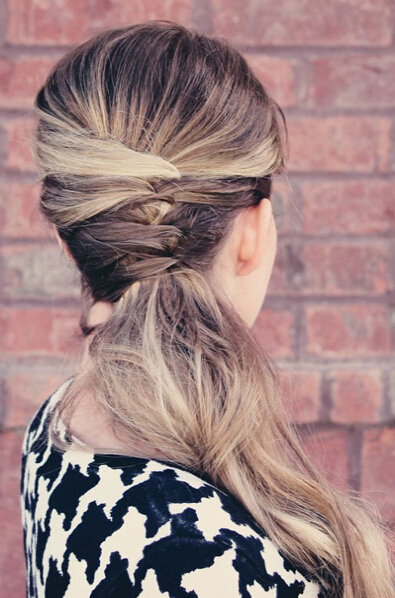 Two-strand braid pony