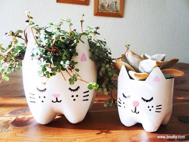 Cats plant holder