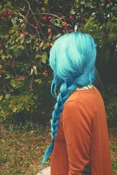 Stunning braided blue hairstyle