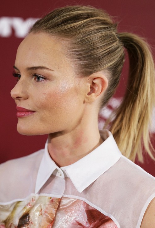 Kate Bosworth Long Hairstyles: 2014 Ponytail for Two-Tone Hair