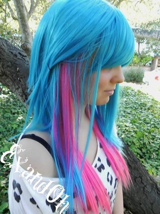 16 Amazing Colored Hairstyles | Blue and pink hair, Hair styles .
