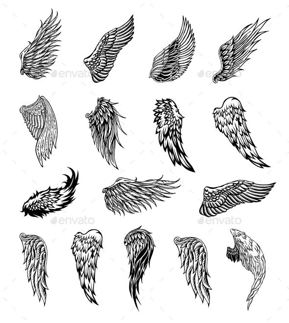 Wings Graphic Illustration | Graphic illustration, Wing tattoo .