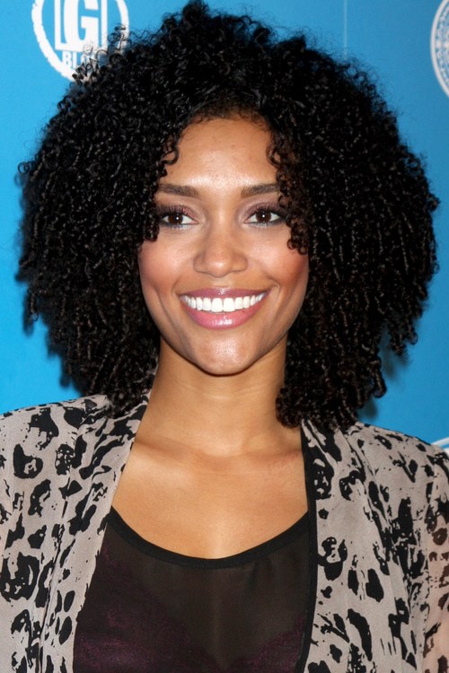 30 Picture-Perfect Black Curly Hairstyl