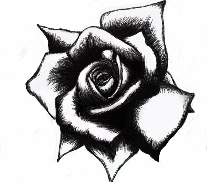 Black And White Heart Tattoos Designs | Cool Tattoos Designs .