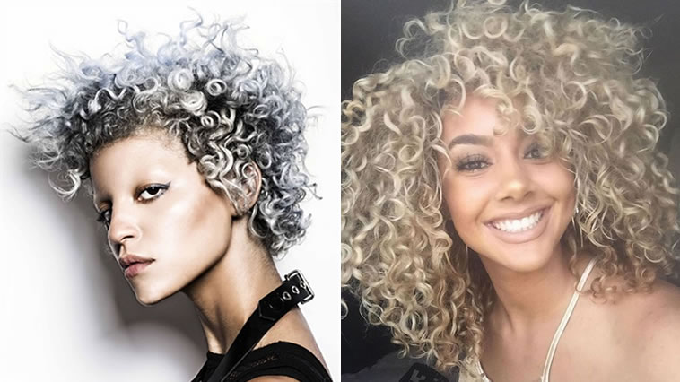 Grey hair color 2019 & Short haircut for curly hairstyle - Hair Colo