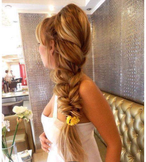 Thick Cute Fishtail Braid Pictures, Photos, and Images for .