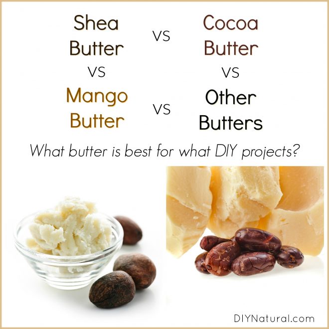 Shea Butter vs Cocoa Butter vs Mango Butter: Which is Best and Wh