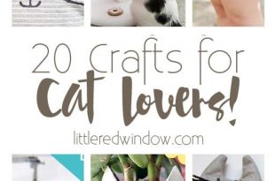 20 Crafts for Cat Lovers! | Cat lovers, Cat crafts, Craf