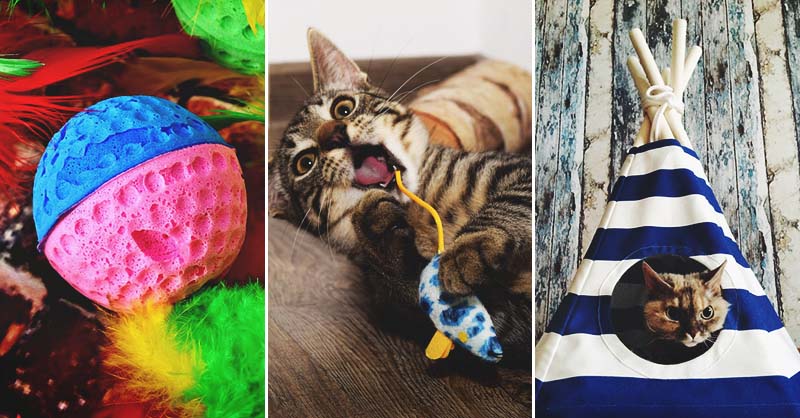 40 DIY Cat Toys Every Cat-Lover (and Their Cats) Will Ado