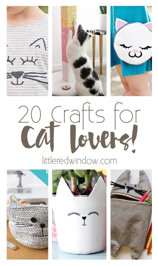 20 Crafts for Cat Lovers! | Cat lovers, Cat crafts, Craf