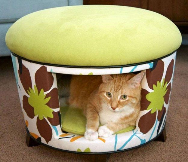 11 Creative Cat DIY Home Projects for Cat Lovers | Pet furniture .