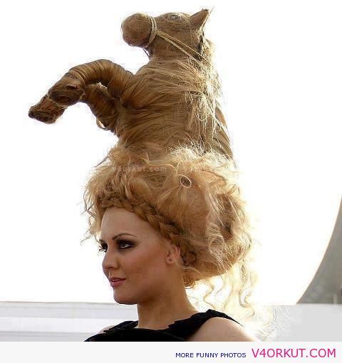 Funny Hair Style Photos | FUNNY PICTURES. This is kinda cool but I .