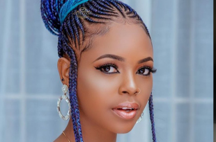 20 Best Fulani Braids of 2020 - Easy Protective Hairstyl