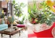 How To Decorate With Houseplants - Best Houseplant Dec