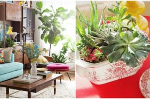 How To Decorate With Houseplants - Best Houseplant Dec