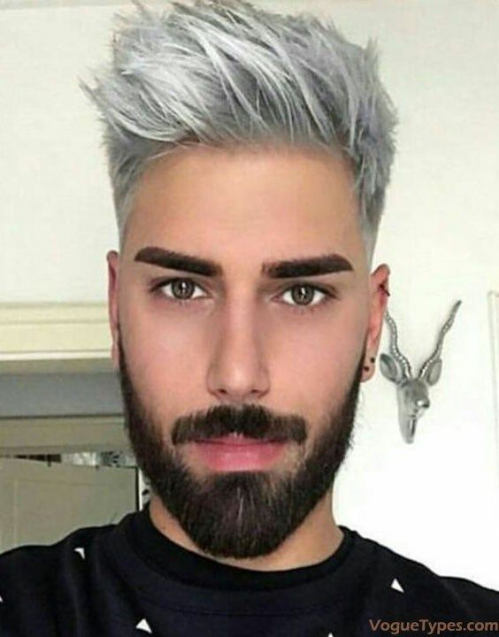 Fresh Looks of Men's Silver Hairstyle & Haircuts for 2018 | Grey .