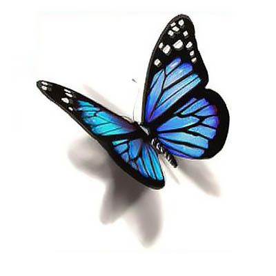 Blue 3D Butterfly Tattoo Design | 3d butterfly tattoo, Blue .