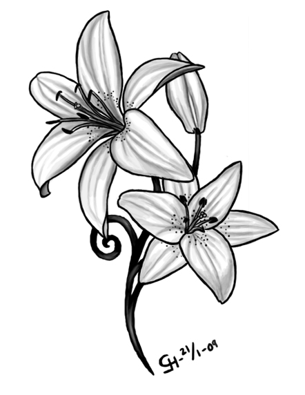 Image result for tiger lily tattoo delicate … | Lily flower .