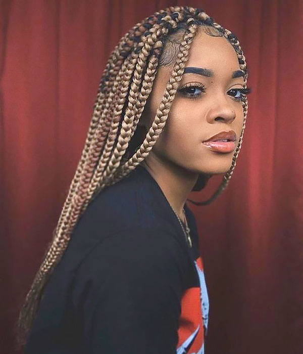 30 Best Braided Hairstyles for Women in 2020 - The Trend Spott