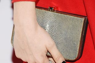 Popular Celebrity Hard Case Clutches for 2014 - Pretty Desig