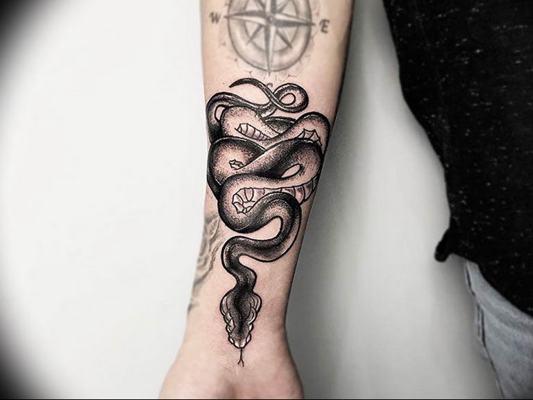 snake tattoo photo 28.01.2019 №249 - snake tattoo idea .