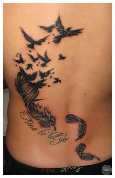 seagull feathers art - Google Search | Feather tattoo meaning .