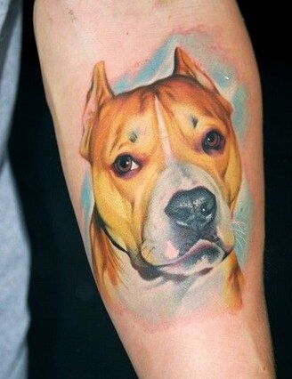 Get A Tattoo of Your Beloved Dog | Dog portrait tattoo, Dog .