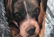 So Cute! Get A Tattoo of Your Beloved Dog | pitbull tattoos .