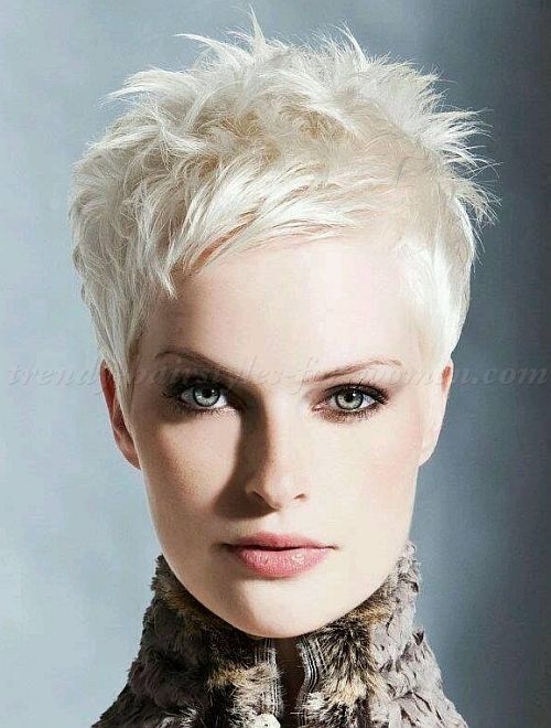 Pin on Short trendy hairstyl