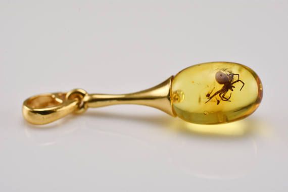 Spider Pendant Spider In Amber Amber Jewellery Amber With | Amber .