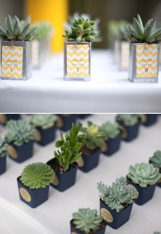 15 The Best Cactus Wedding Ideas You Can Copy (With images .