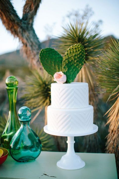 52 Fun Cactus Wedding Ideas To Have A Look At | HappyWedd.c