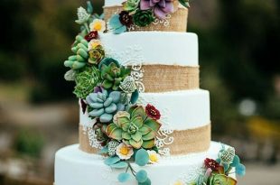 Best Cactus Wedding Ideas | Succulent wedding cakes, Floral .