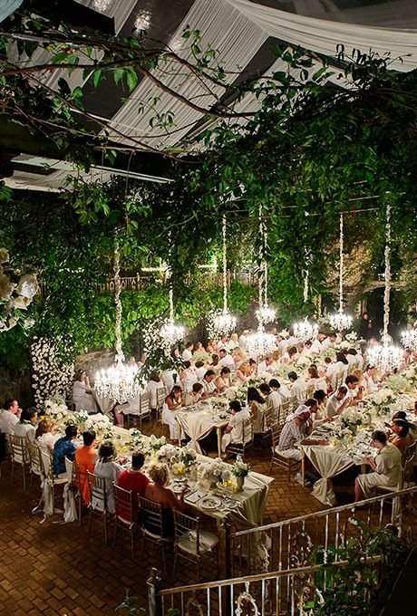 Real Weddings | Best wedding venues, Indoor garden wedding .