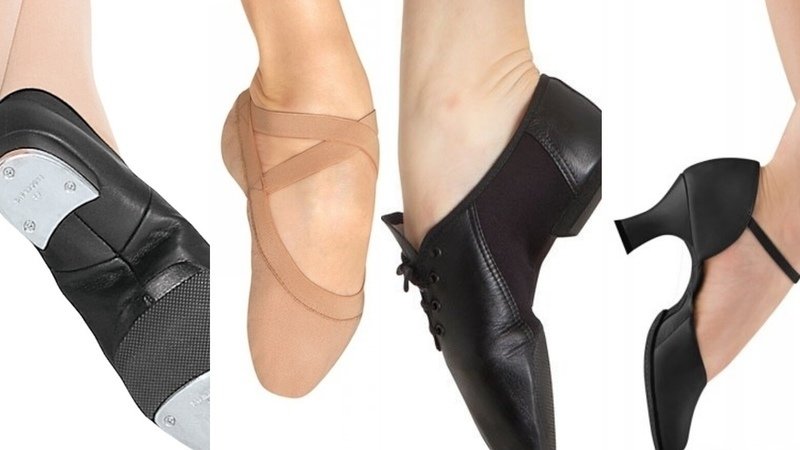 Petition · Get companies like Bloch and Capezio to sell vegan .