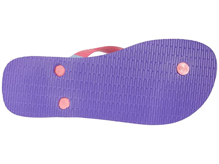 Havaianas Top Verano Sandal (Purple) Women's Shoes - U