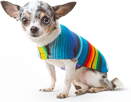 Amazon.com : Baja Ponchos Dog Clothes - Handmade Dog Poncho from .