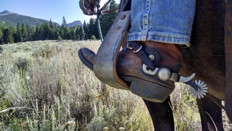 9 Best Boots for Western Horseback Ridi